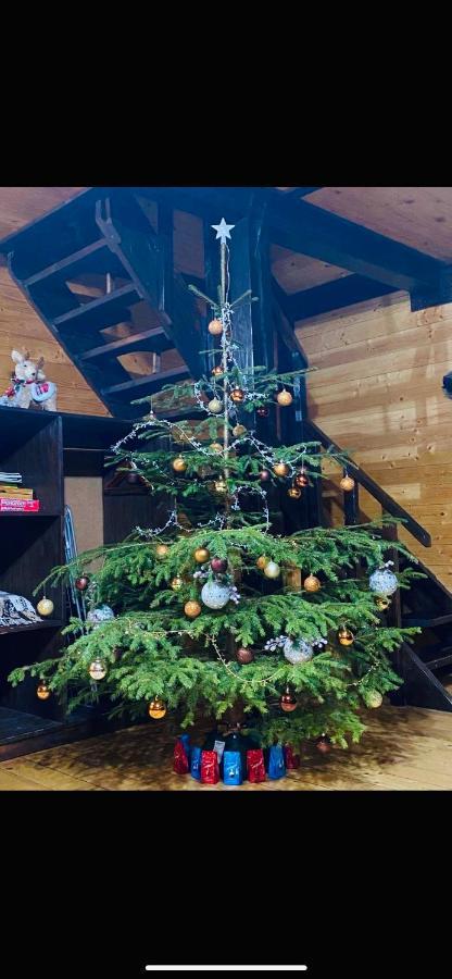 Котедж Chalet Adriana بوكوفِل المظهر الخارجي الصورة